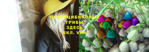 ешки Краснотурьинск