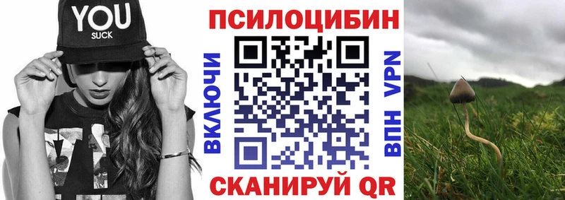 Псилоцибиновые грибы Magic Shrooms Ужур
