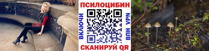 Купить  Ужур  Галлюциногенные грибы прущие грибы 